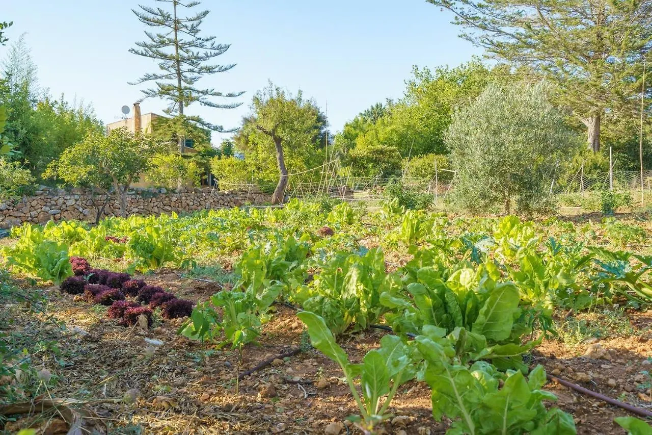 Venkovský dům Penzion Agroturismo Saigo Portocolom