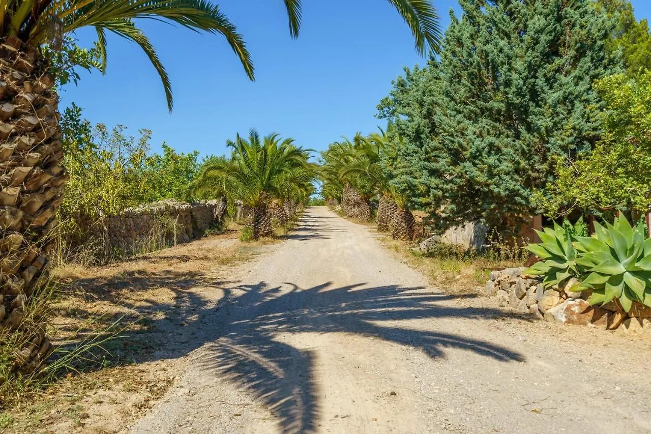 Penzion Agroturismo Saigo Portocolom  Venkovský dům