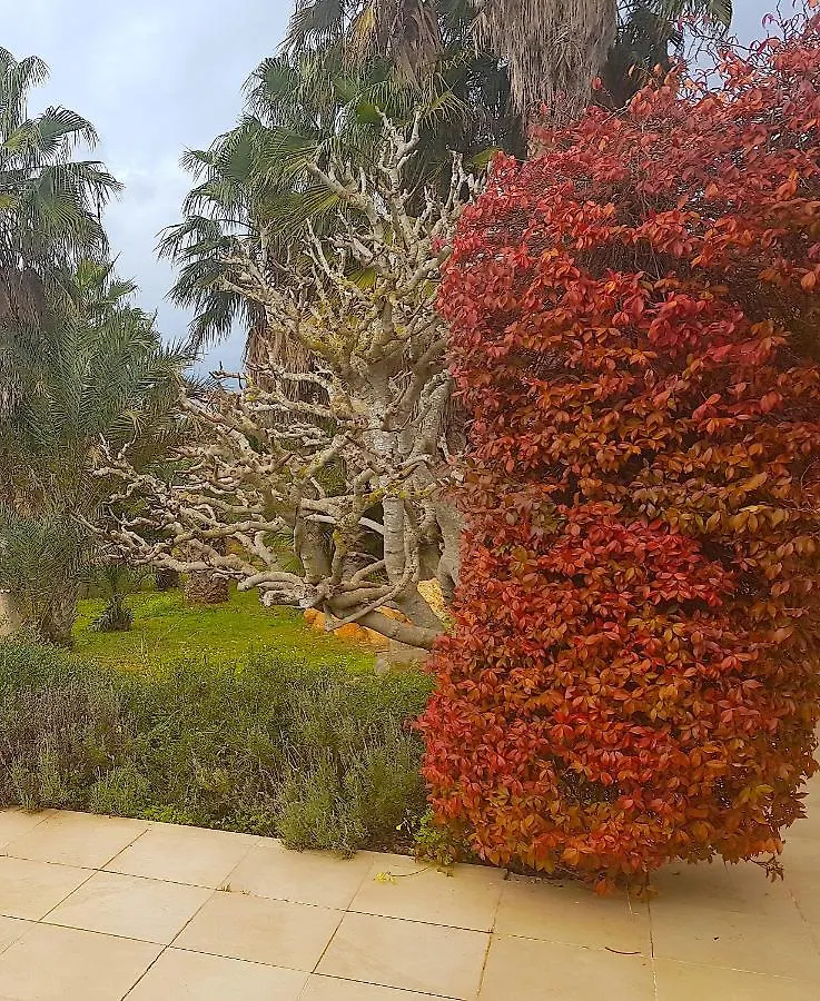 Penzion Agroturismo Saigo Portocolom  Španělsko