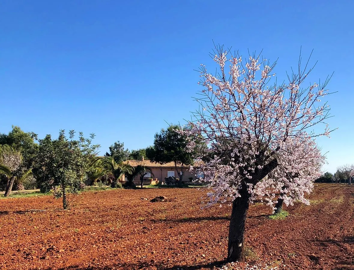 Venkovský dům Penzion Agroturismo Saigo Portocolom
