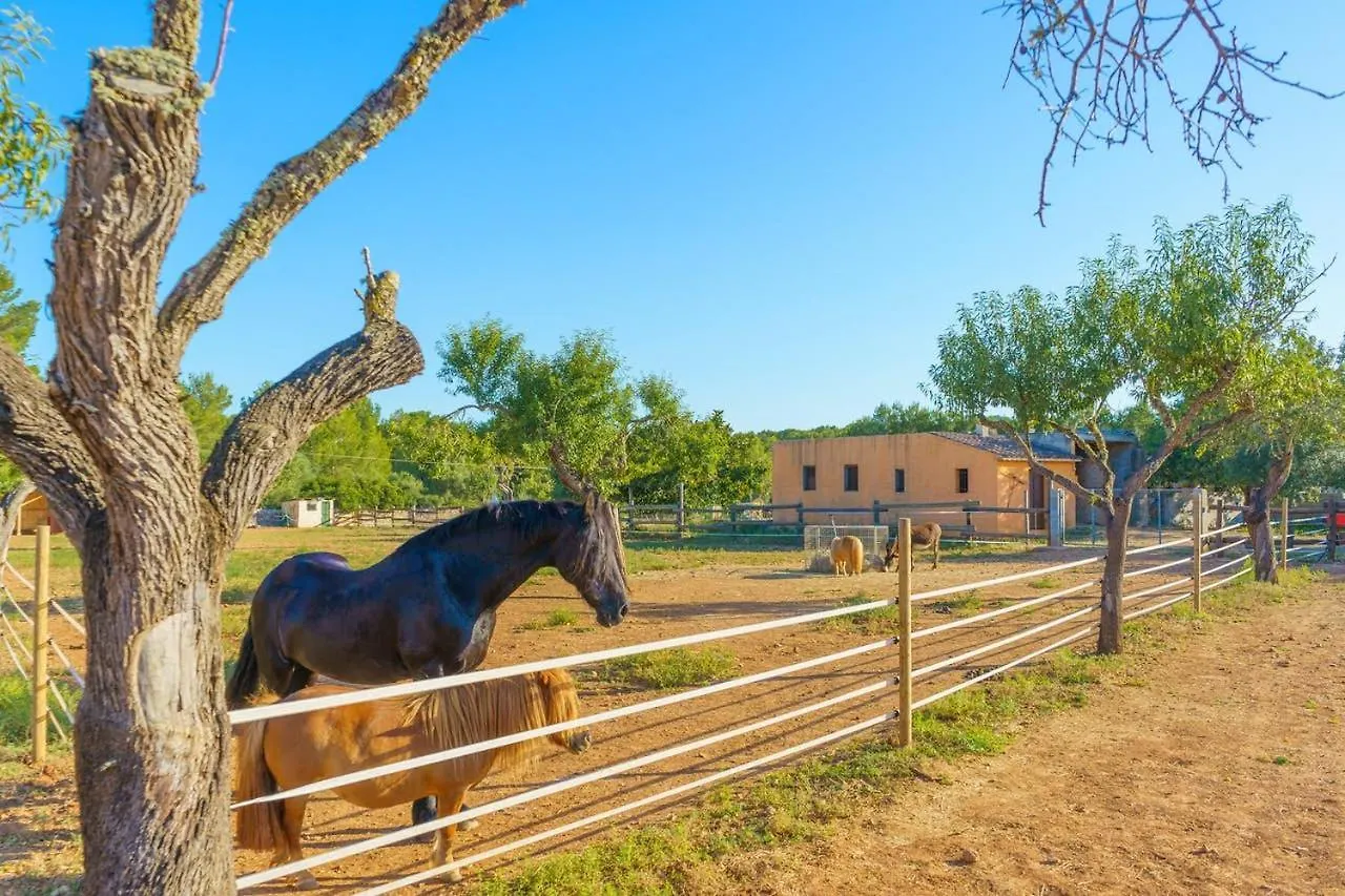 Country house Agroturismo Saigo Guest House Portocolom