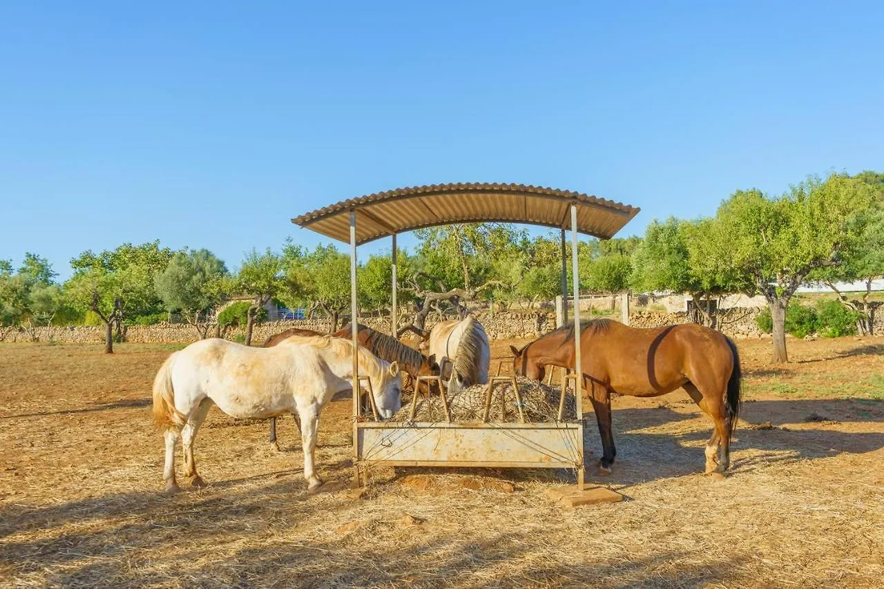 Agroturismo Saigo Vendégház Puerto Colom Hétvégi ház