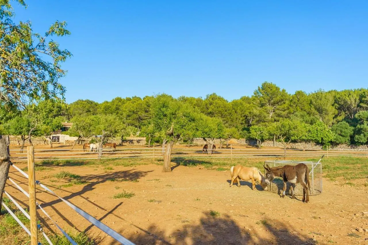 Agroturismo Saigo Vendégház Puerto Colom Hétvégi ház